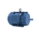 Premium Efficiency Three Phase Induction Electric Motor