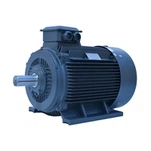 YE3 Series 3-phase Induction Motor